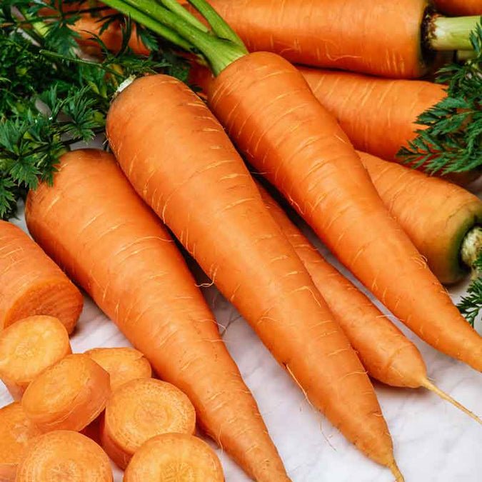 Carrot - Danvers 126