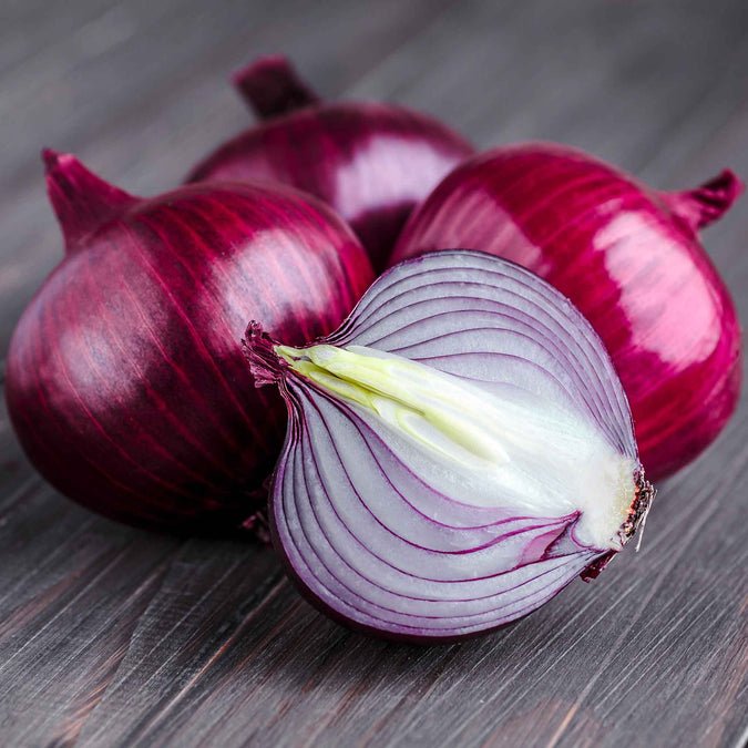Onion - Ruby Red (Long Day)