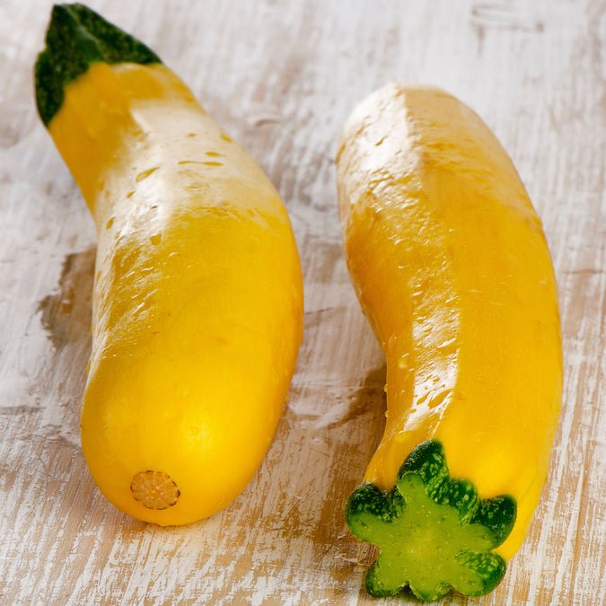 Squash - Summer Early Prolific Straightneck