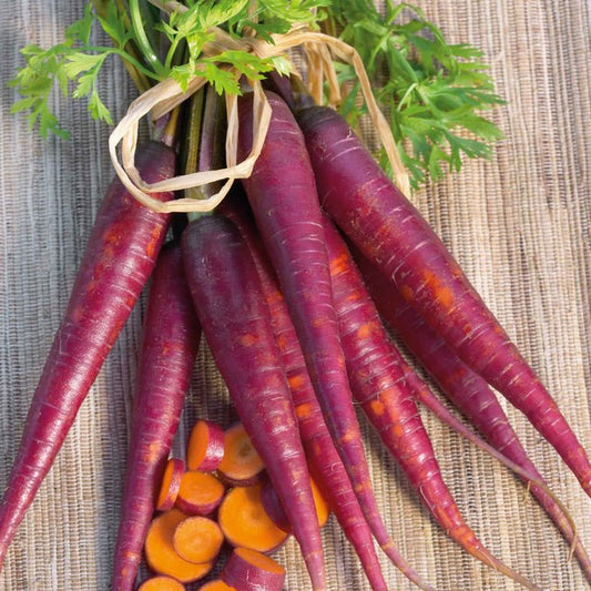 Carrot - Purple