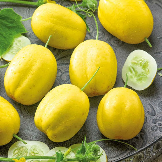 Cucumber - Lemon