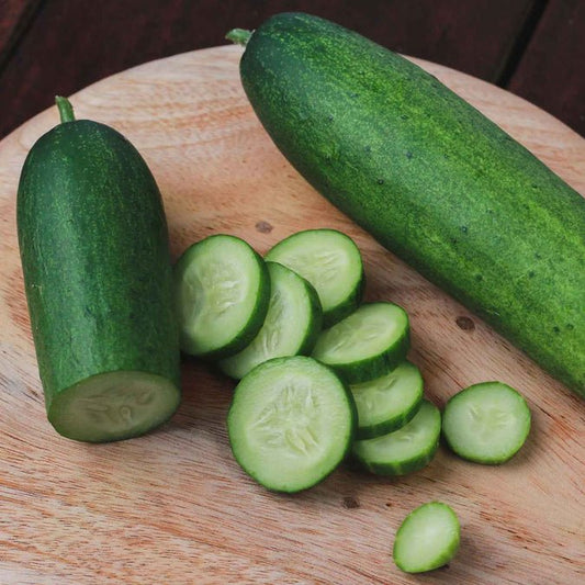 Cucumber - Straight Eight