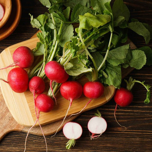 Radish - Cherry Belle