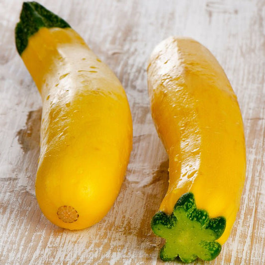 Squash - Summer Early Prolific Straightneck