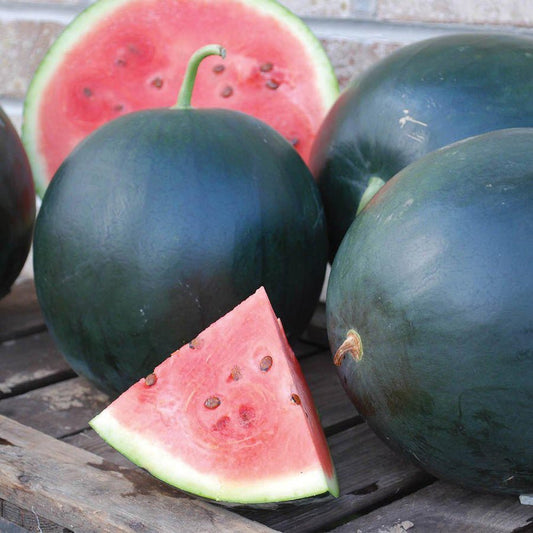 Watermelon - Giant Black Diamond